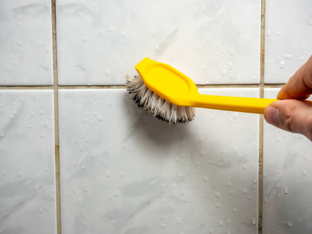 Best Mold Removal Company Near Me  in Washburn, IL