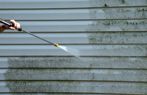 Home Mold Removal in Washburn, IL